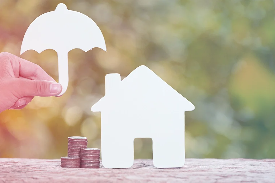 Bankruptcy Protection